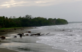 Cahuita beach