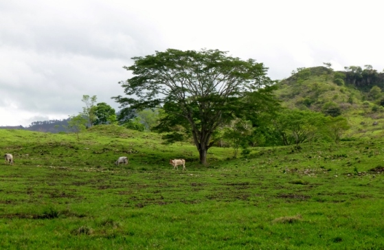 countryside - Copan,Honduras