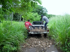 Road maintenance in the bush - Utila,Honduras