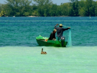 Locals with net and pelican in foreground - Utila,Honduras