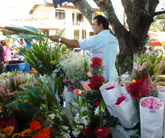 Flowers for sale - Farmers market - Atenas,Costa Rica