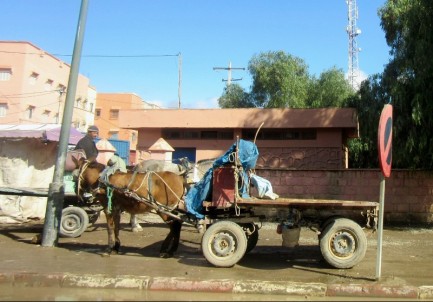 On the road to Essaouira, Morocco