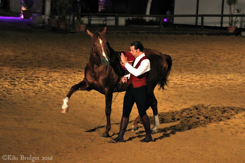 The Passion and Spirit of the Andalusian Horse